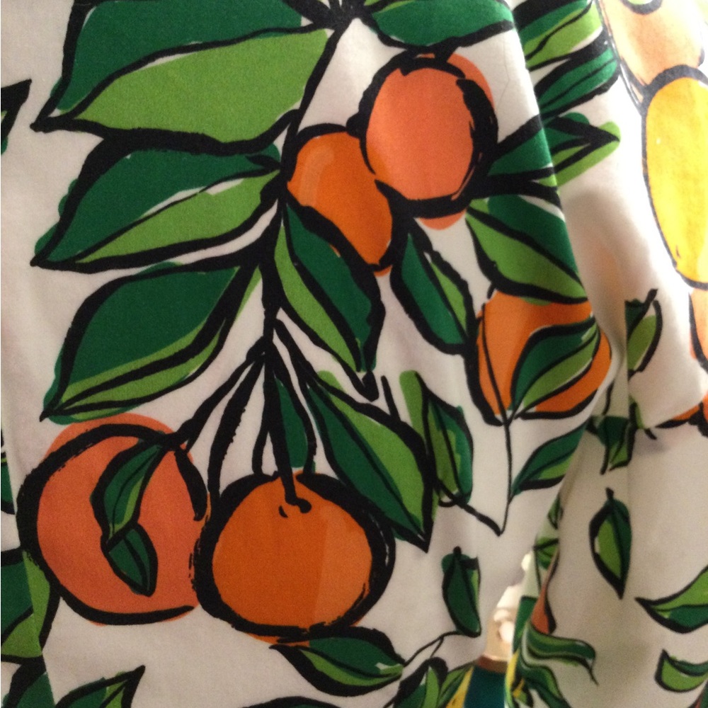 PRICE DROP! Gorgeous Citrus Print Dress w pockets - Picture 11 of 16